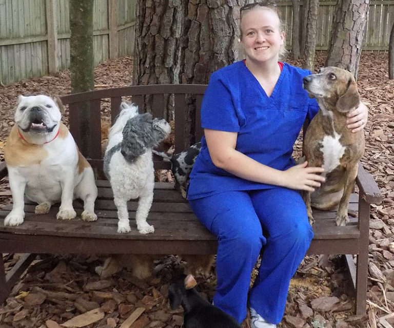 Doggie Daycare in Cary, NC Carpenter Animal Hospital