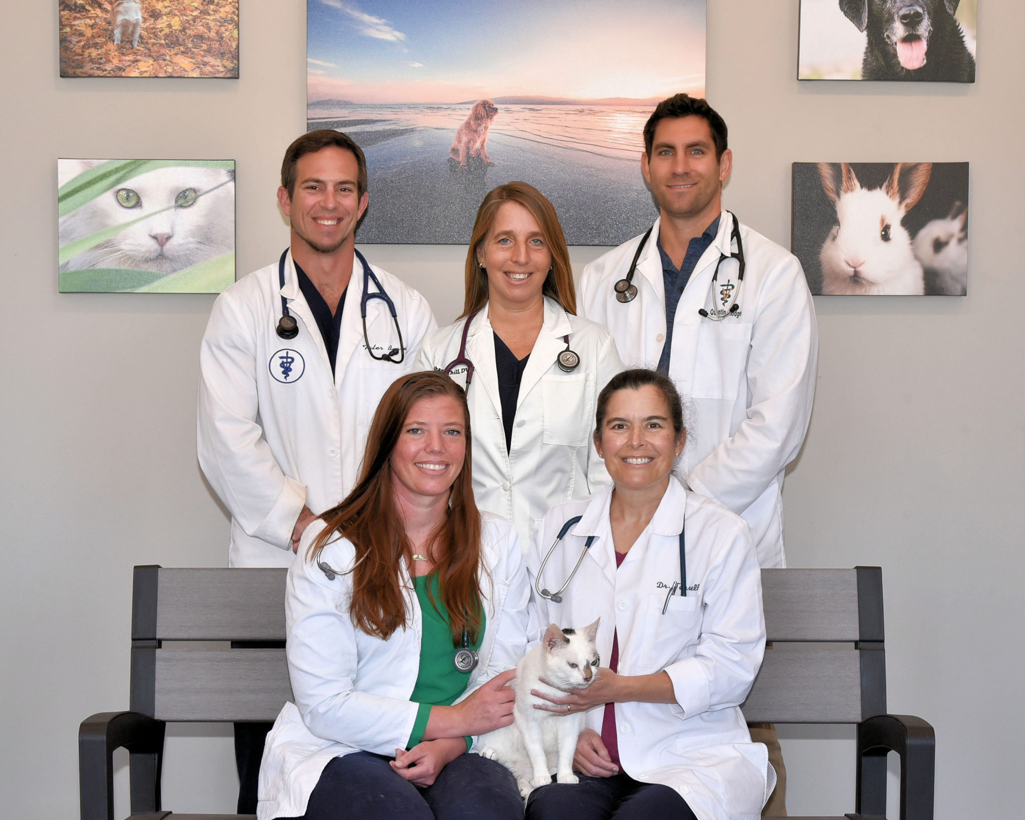 Meet Our Vets in Cary, NC | Carpenter Animal Hospital