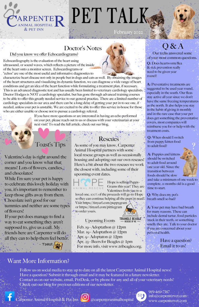 february 2022 Newsletter - Pet Talk with Doctor's notes
