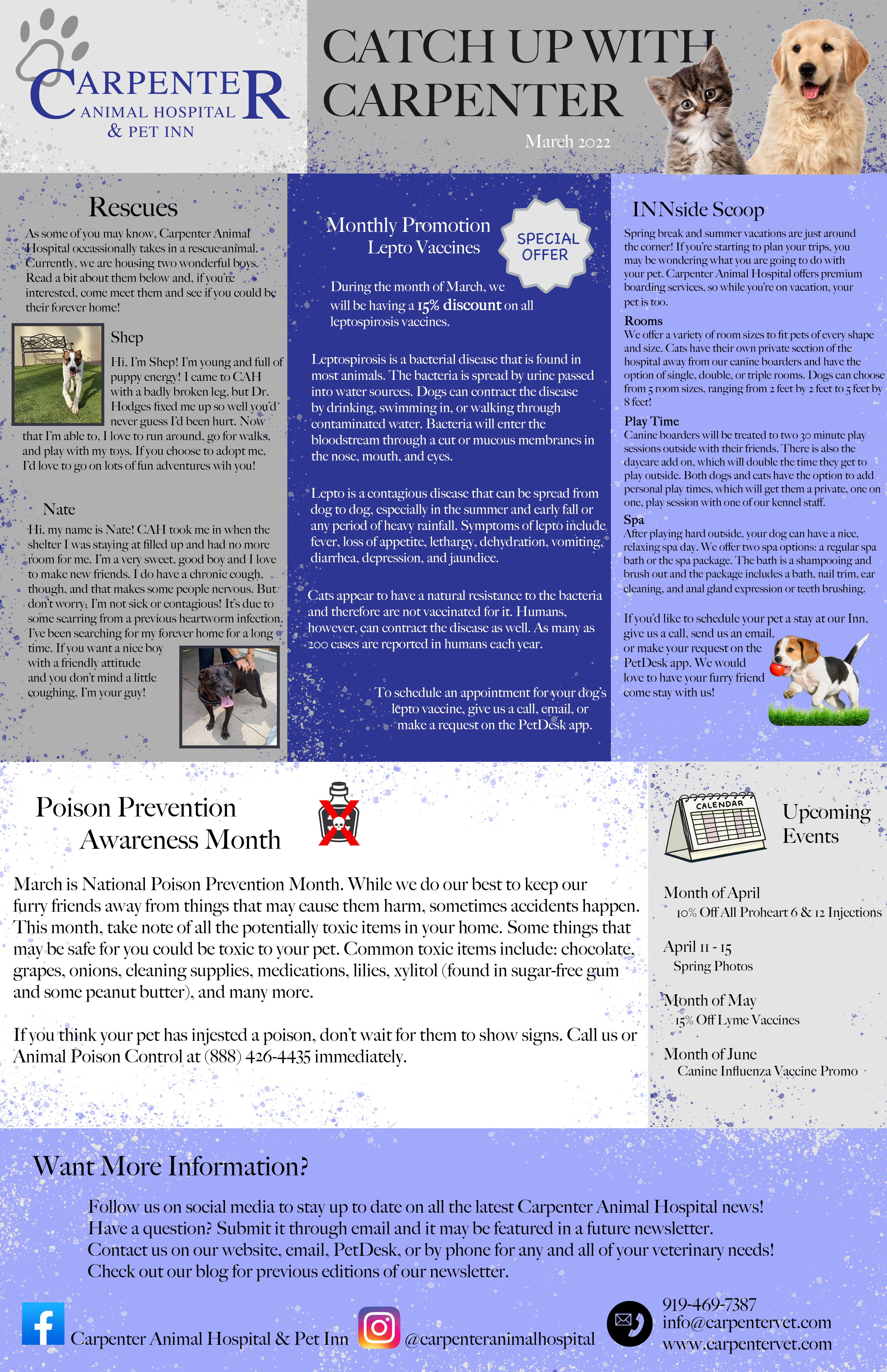 Newsletters | Carpenter Animal Hospital and Pet Inn Cary, NC